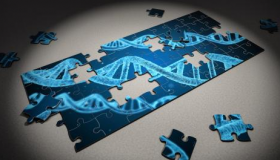 人工智能生物学准备互相挠痒痒