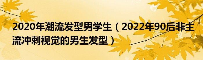 2020年潮流发型男学生（2022年90后非主流冲刺视觉的男生发型）