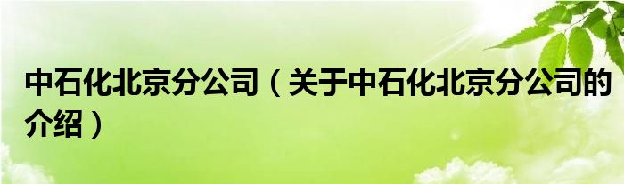 中石化北京分公司（关于中石化北京分公司的介绍）