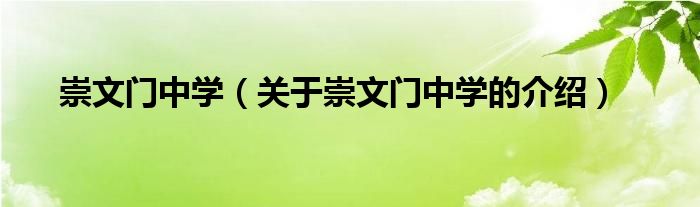 崇文门中学（关于崇文门中学的介绍）