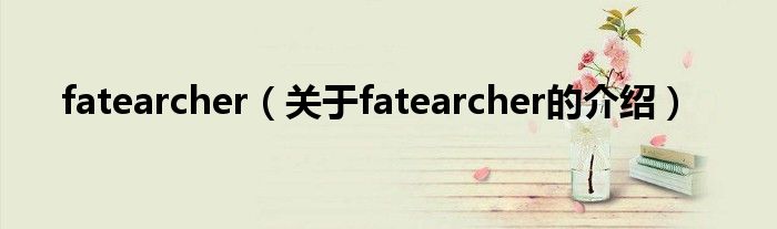 fatearcher（关于fatearcher的介绍）