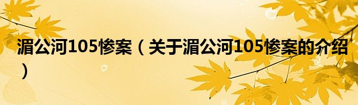 湄公河105惨案（关于湄公河105惨案的介绍）