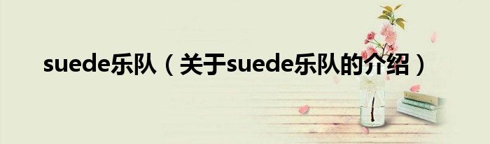 suede乐队（关于suede乐队的介绍）