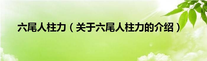 六尾人柱力（关于六尾人柱力的介绍）