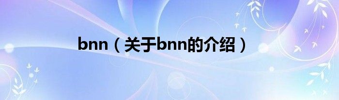 bnn（关于bnn的介绍）