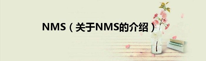 NMS（关于NMS的介绍）