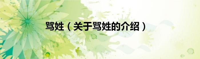 骂姓关于骂姓的介绍