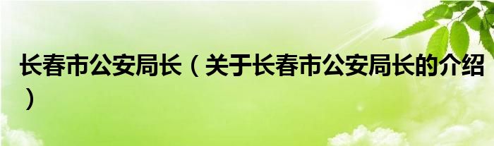 长春市公安局长（关于长春市公安局长的介绍）