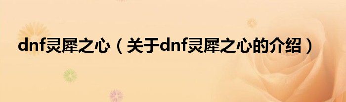 dnf灵犀之心（关于dnf灵犀之心的介绍）