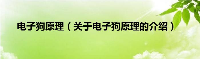 电子狗原理（关于电子狗原理的介绍）