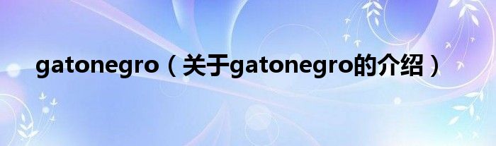 gatonegro（关于gatonegro的介绍）