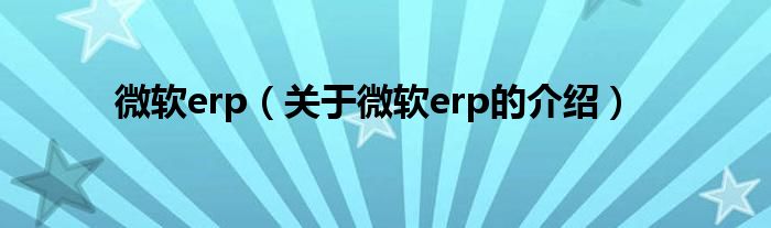 微软erp（关于微软erp的介绍）