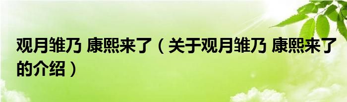 观月雏乃 康熙来了（关于观月雏乃 康熙来了的介绍）