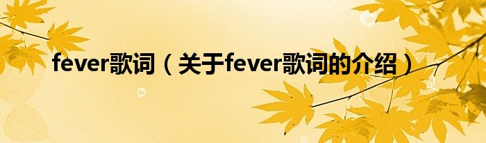 fever歌词（关于fever歌词的介绍）