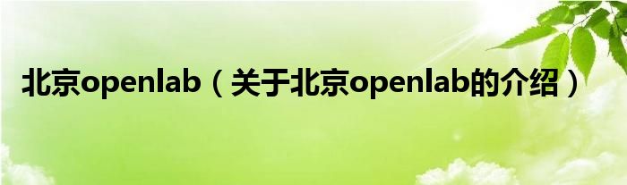 北京openlab（关于北京openlab的介绍）