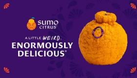 粉丝最喜欢的Sumo Citrus季节以扩大分销和新包袋开始