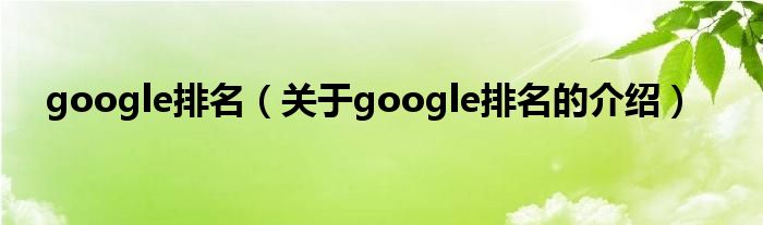 google排名（关于google排名的介绍）