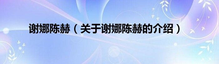 谢娜陈赫（关于谢娜陈赫的介绍）