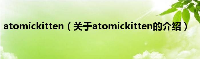 atomickitten（关于atomickitten的介绍）