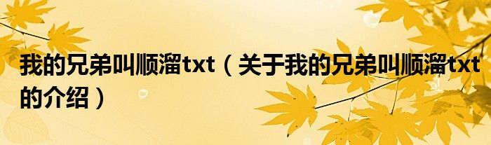 我的兄弟叫顺溜txt（关于我的兄弟叫顺溜txt的介绍）