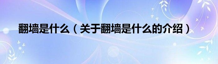 翻墙是什么（关于翻墙是什么的介绍）