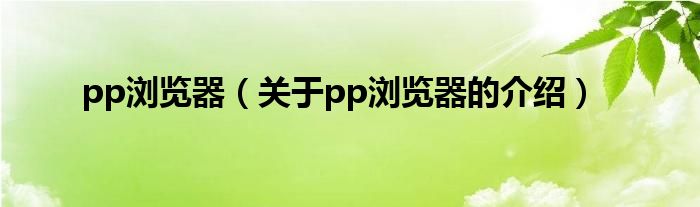 pp浏览器（关于pp浏览器的介绍）