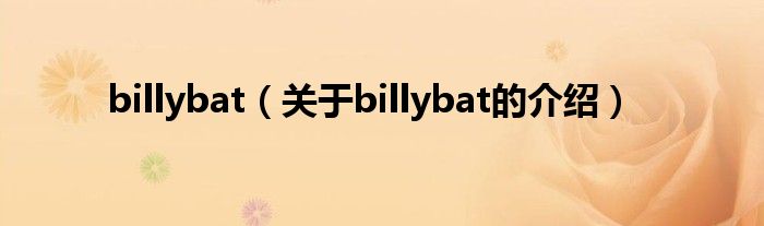 billybat（关于billybat的介绍）