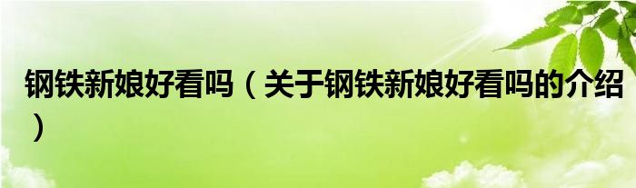 钢铁新娘好看吗（关于钢铁新娘好看吗的介绍）