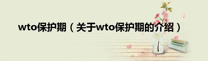 wto保护期（关于wto保护期的介绍）