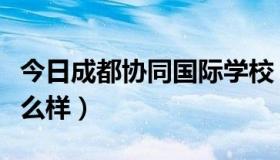 今日成都协同国际学校（成都协同国际学校怎么样）