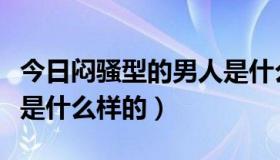今日闷骚型的男人是什么样子（闷骚型的男人是什么样的）