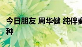 今日朋友 周华健 纯伴奏版 可以套歌词唱的那种