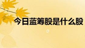 今日蓝筹股是什么股（蓝筹股是什么）