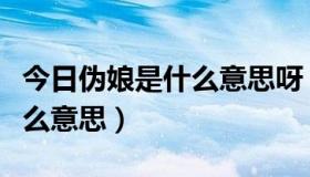 今日伪娘是什么意思呀（伪娘和伪男分别是什么意思）