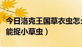 今日洛克王国草衣虫怎么得（洛克王国怎样才能捉小草虫）