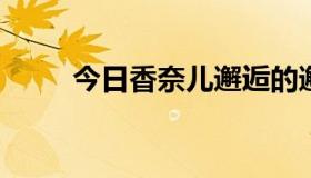 今日香奈儿邂逅的邂逅是什么意思