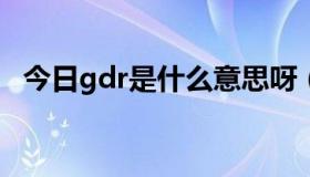 今日gdr是什么意思呀（GDR是什么意思）