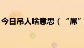 今日吊人啥意思（“屌”是什么意思,怎么读）