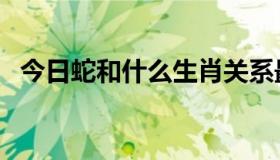 今日蛇和什么生肖关系最好（蛇和蛇配吗）