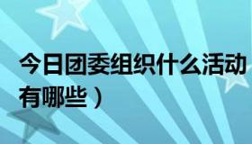 今日团委组织什么活动（政府团委举办的活动有哪些）