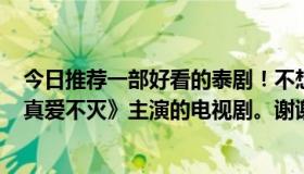 今日推荐一部好看的泰剧！不想要Pong，Weir，Vee和《真爱不灭》主演的电视剧。谢谢大家！