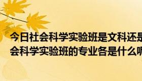 今日社会科学实验班是文科还是理科（人文科学实验班跟社会科学实验班的专业各是什么呢）