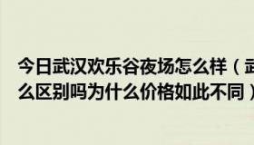 今日武汉欢乐谷夜场怎么样（武汉欢乐谷的日场和夜场有什么区别吗为什么价格如此不同）