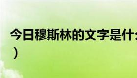 今日穆斯林的文字是什么（伊斯兰文字怎么打）