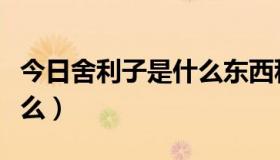 今日舍利子是什么东西科学解释（舍利子是什么）