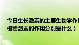 今日生长激素的主要生物学作用是什么?（生长素的机理和植物激素的作用分别是什么）
