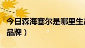 今日森海塞尔是哪里生产的（森海塞尔是哪国品牌）