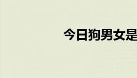 今日狗男女是什么意思