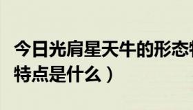 今日光肩星天牛的形态特征（光肩星天牛发生特点是什么）