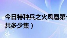 今日特种兵之火凤凰第十集（特种兵火凤凰总共多少集）
